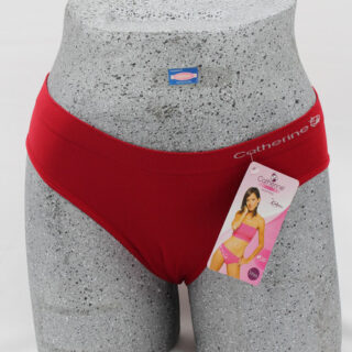 Bikini Cachetero Catherine Para Dama